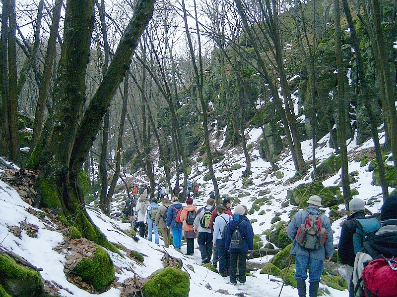 20100220 050.jpg